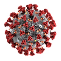 covid-19-coronavirus covid-19-coronavirus