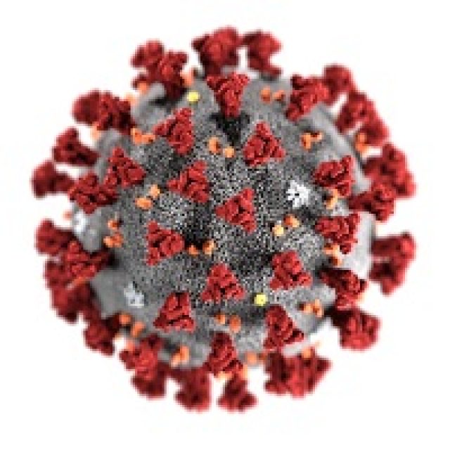 covid-19-coronavirus covid-19-coronavirus